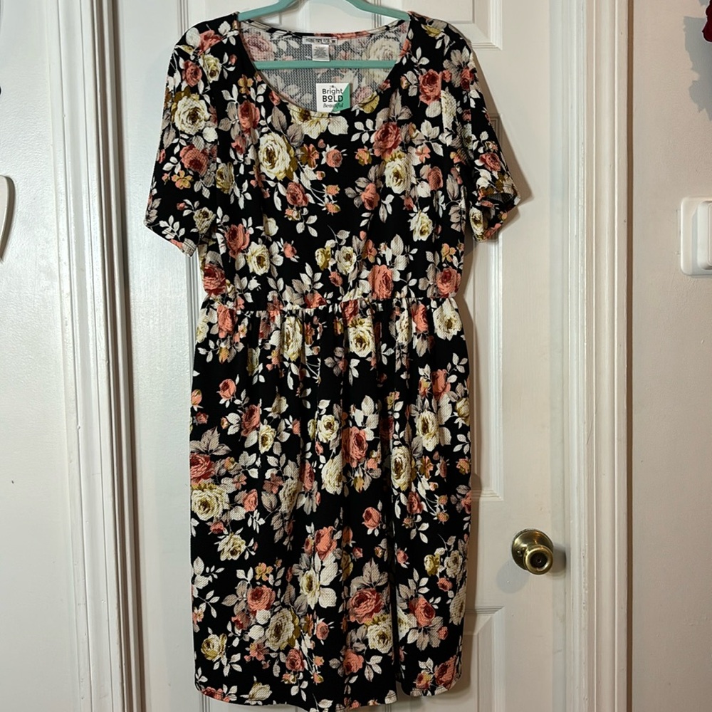 Honey and Lace Windsor dress, size 3x